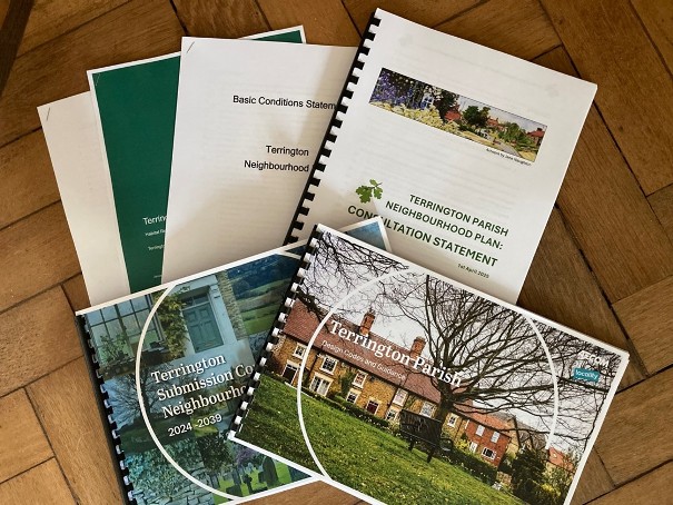The Draft Neighbourhood Plan documents